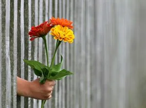 Lee más sobre el artículo que regalos les hombres gusta