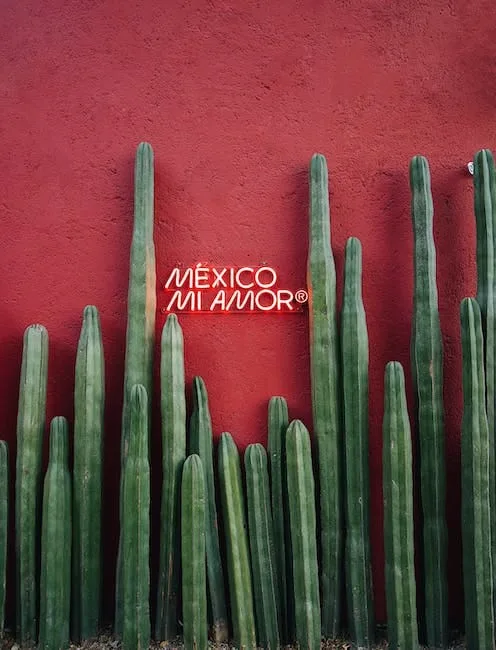 En este momento estás viendo que regalar flores