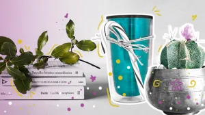 Lee más sobre el artículo que regalar con 300 pesos