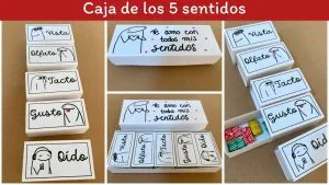 Lee más sobre el artículo Regalo 5 Sentidos