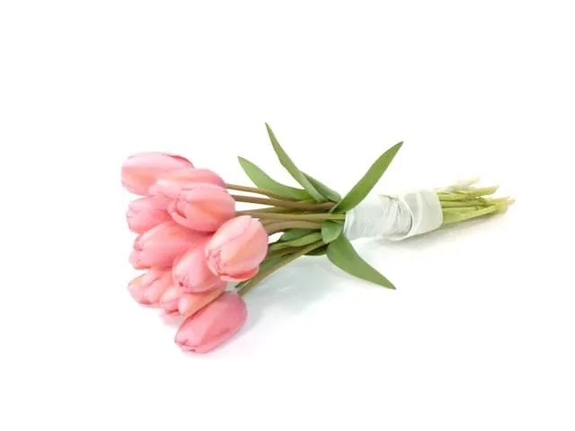 En este momento estás viendo mejor flor regalar a una mujer