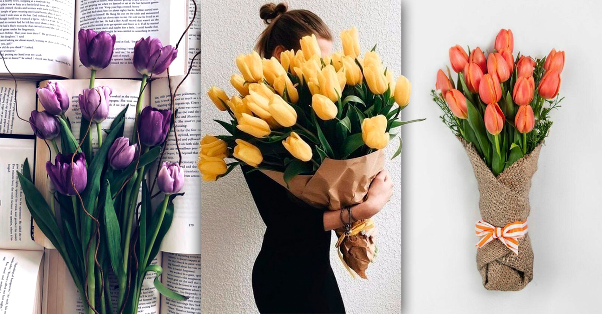 ▷【que es mejor regalar rosas o tulipanes febrero 2024 】✓ WONCAST JOYAS❤️🎁