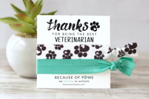 Lee más sobre el artículo Descubre los regalos más originales y emocionantes para celebrar el día del veterinario: ¡sorpréndelos con un obsequio único!