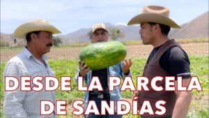 Lee más sobre el artículo ¡Descubre los regalos más sorprendentes para celebrar el día del agricultor! Un listado exclusivo que te sorprenderá